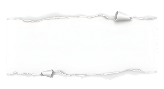 Torn paper with curled edges isolated on transparent background for your design