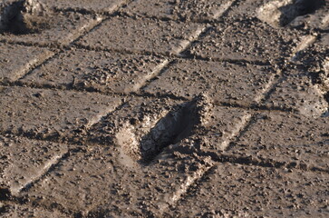 Footprint Mud Texture