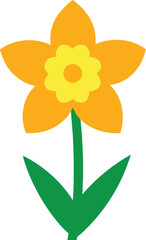 yellow daffodil flower isolated on white background