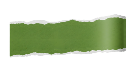 Green torn paper with rough edges isolated on transparent background, for design