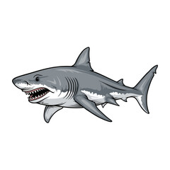 shark with a white background
