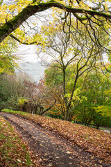 path in autumn park