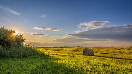 Sunlit by hay bale at golden hour