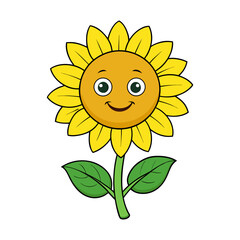 sunflower facing upward