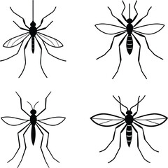 Mosquito silhouette line art vector illustration