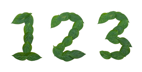 Numbers 1, 2, 3 made of green leaves, isolated on transparent