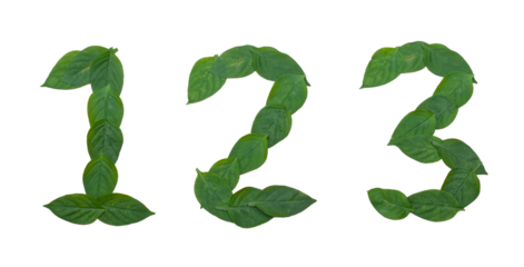 Numbers 1, 2, 3 made of green leaves, isolated on transparent