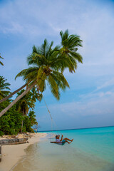 Tranquil closeup calm sea water waves with palm trees. Man tourist swinging, Tropical island beach landscape exotic shore coast. Summer vacation, holiday amazing nature. Relax paradise, Maldives.