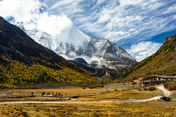 Beautiful landscape of Yading Nature Reserve