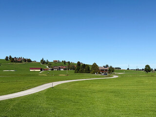 Obraz premium Rural landscape with green field, country road and clear blue sky, summer countryside view