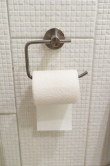 Toilet paper roll hanging on holder
