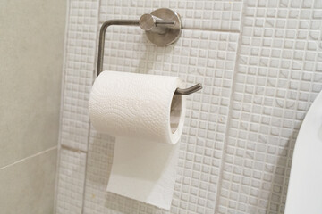Toilet paper roll hanging on holder