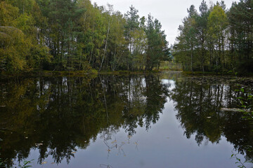 Obraz premium Naturschutzgebiet Schwenninger Moos; Torfstichsee; Hochmoor und Neckarursprung; Baden Württemberg; Deutschland