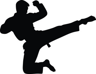 Silhouette of a martial artist performing a dynamic flying side kick in mid air