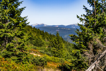 Panoramic view of evergreen mountain forest with distant peaks under clear blue sky, natural wilderness landscape for hiking and travel.