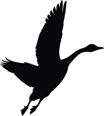 Black vector silhouette of a flying seagull with wings spread, an illustration of wildlife and nature for design