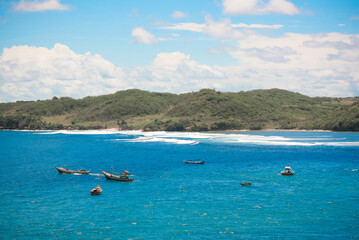 looking for fish in the sea