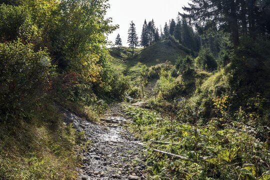 Wanderweg zum Ein&ouml;dsberg, Ein&ouml;dsbach, Oberstdorf, Oberallg&auml;u, Allg&auml;u, Bavaria Germany