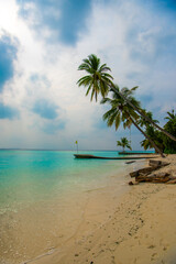 Tranquil closeup calm sea water waves with palm trees. Beautiful Panorama, Tropical island beach landscape exotic shore coast. Summer vacation, holiday amazing nature. Relax paradise, Maldives.