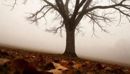 Solitary Tree in Misty Embrace: A lone tree, stripped bare by the season, stands silhouetted against a backdrop of swirling mist, its branches reaching out into the ethereal fog.