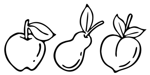 Vector illustration doodle hand drawn food fruit apple pear peach element set black liner pen