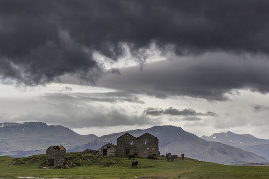 Dark clouds, abandoned building, crumbling farm, Icelandic horses, H&ouml;fn, Iceland