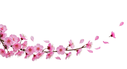 Blossom Branch: A delicate branch laden with vibrant pink blossoms, their petals gently dancing in the air, creating a serene and captivating display of nature's beauty.