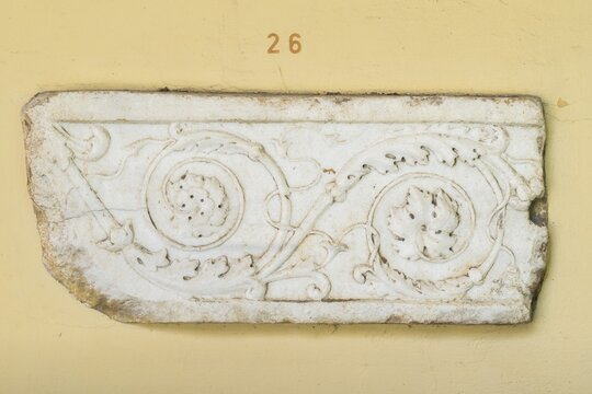 Fragment of a frieze slab with continuous scrollwork, white marble, Municipal Lapidarium, City of Stuttgart, Baden-W&uuml;rttemberg, Germany