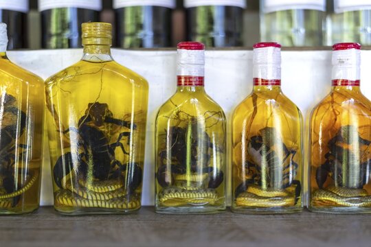 Choum, rice liquor, rice wine with pickled scorpions and snakes for sale, Laos
