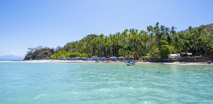 Tropical island with palm trees and turquoise blue sea, Isla Tortuga, Puntarenas province, Costa Rica