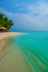 Tranquil closeup calm sea water waves with palm trees. Beautiful Panorama, Tropical island beach landscape exotic shore coast. Summer vacation, holiday amazing nature. Relax paradise, Maldives.