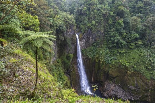 Catarata del Toro waterfall, view of waterfall and gorge, Alajuela province, Costa Rica