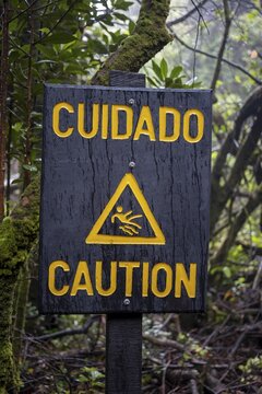 Warning sign Cuidado Caution, Attention danger of slipping, in the forest, Po&aacute;s National Park, central highlands, Alajuela province, Costa Rica
