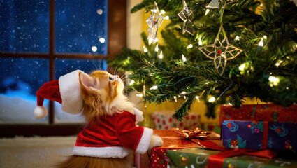 A Kitten's Yuletide Wonder A Small Cat in a Santa Suit Gazes Up at a Lit Tree with Presents Beneath, Conveying a Sense of Awe and Joy in a Festive Setting