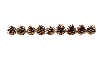 Brown pine cones arranged in a horizontal line, evenly spaced, against a white background, evenly lit, product shot isolated