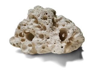 Porous coral rock