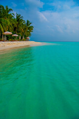 Fototapeta premium Tranquil closeup calm sea water waves with palm trees. Beautiful Panorama, Tropical island beach landscape exotic shore coast. Summer vacation, holiday amazing nature. Relax paradise, Maldives.