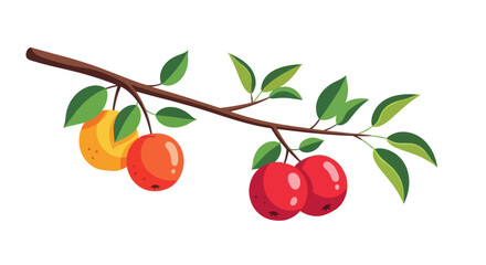 Illustration of a tree branch with ripe apples and green leaves. © azziza
