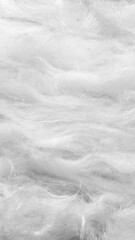 white wool with a visible texture. background