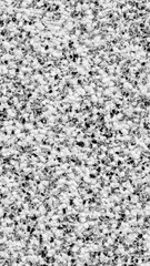 white and gray plaster of the wall with a visible texture