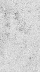 Fototapeta premium white and gray plaster of the wall with a visible texture