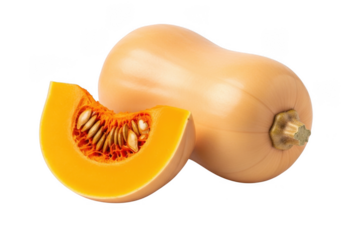 Butternut Squash with Slice, Isolated on Transparent Layout, Healthy Vegetable and Ingredient for Autumn Cooking