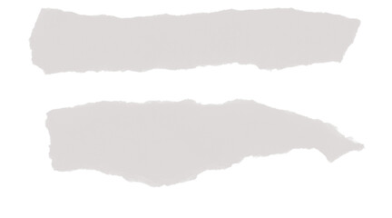 Two ripped gray paper pieces, horizontal, with jagged edges, a texture.