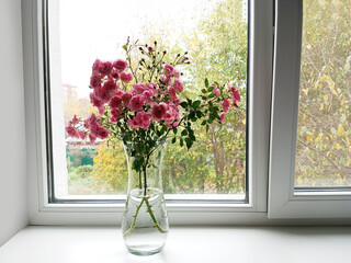 Obraz premium Small garden peony roses in a glass vase on a windowsill in autumn.