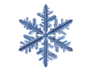 Microscopic view of a six-sided, icy crystal against a black background. Detailed structure