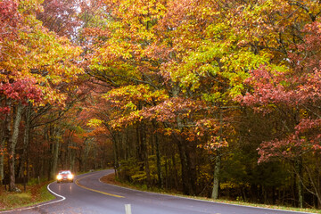 Obraz premium Shenandoah National Park in autumn foliage and fog - Virginia, United States of America 