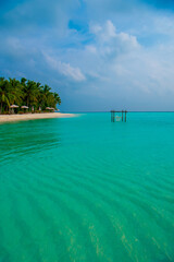 Tranquil closeup calm sea water waves with palm trees. Beautiful Panorama, Tropical island beach landscape exotic shore coast. Summer vacation, holiday amazing nature. Relax paradise, Maldives.