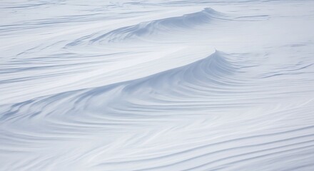 Abstract Snow Drifts with Wavy Patterns and Ripples Under Soft Natural Light winter texture