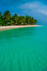Tranquil closeup calm sea water waves with palm trees. Beautiful Panorama, Tropical island beach landscape exotic shore coast. Summer vacation, holiday amazing nature. Relax paradise, Maldives.