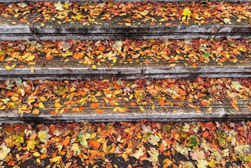 autumn leaves on the staircase